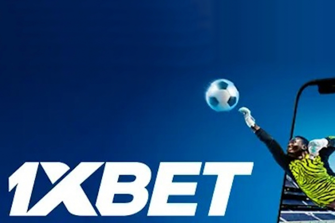 BettingHub Your Ultimate Guide to Successful Betting