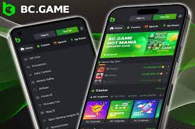Explore the Exciting Features of BC Fun Download