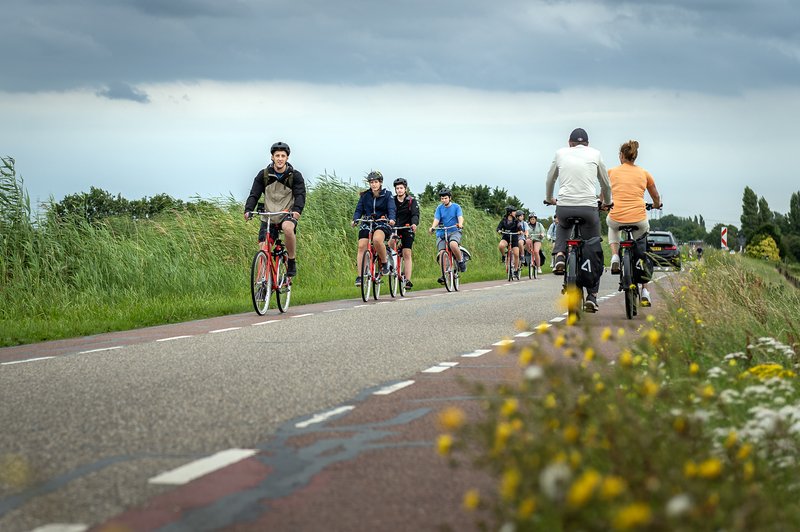 Klik op Chicken Road en Winsten met het Legendarische Spel in Nederland in Netherlands